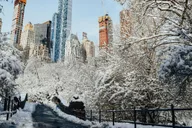 New York City Christmas Movie Locations Tour thumbnail 3
