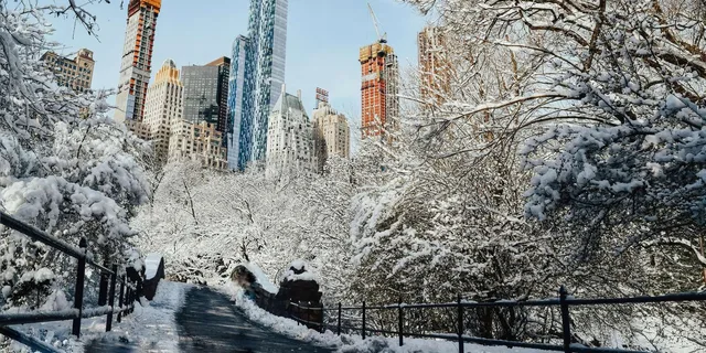 New York City Christmas Movie Locations Tour - Image 3