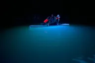 Hungry Horse LED Clear Paddleboard Rentals at Sunset thumbnail 1