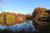 New York Central Park Scandal & Vice Walking Tour 2 hr thumbnail 6