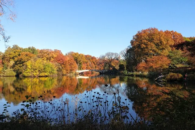 New York Central Park Scandal & Vice Walking Tour 2 hr - Image 6