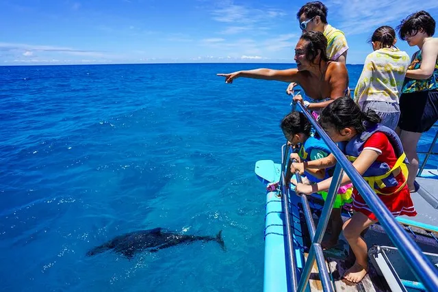 Waikiki Snorkeling Tour with Sea Turtles - Image 6
