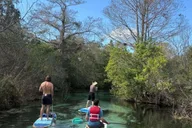 Sarasota Paddleboard Rental at Turtle Beach thumbnail 1