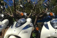 Lahaina Moped Rental Experience thumbnail 6