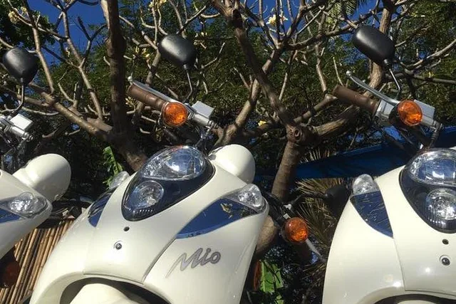 Lahaina Moped Rental Experience - Image 6
