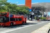 Boston Hop-On Hop-Off Bus Tour thumbnail 3