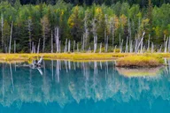 Anchorage Glacier and Wildlife Discovery Tour thumbnail 5