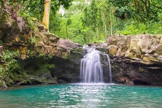 Maui Waterfall & Rainforest Hiking Adventure