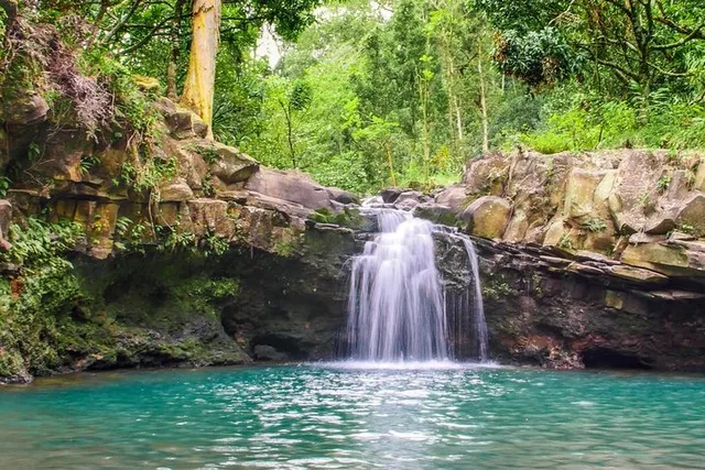 Maui Waterfall & Rainforest Hiking Adventure - Image 1