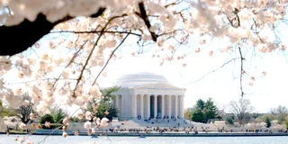 Washington DC City Tour with Seasonal Boat Cruise