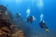 Kauai Scuba Diving Charter for Certified Divers thumbnail 5