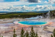 Jackson Wildlife Adventure in Yellowstone and Grand Teton 4-Day thumbnail 6