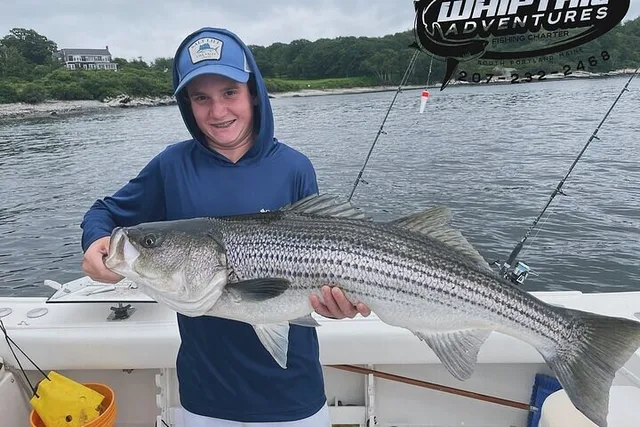 Portland Striped Bass Private Fishing Trip 6 hr - Image 2