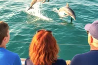 Miami Key West Day Trip with Dolphin Spotting or Snorkeling thumbnail 3