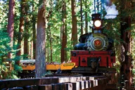 San Francisco to Oregon Redwood and Crater Lake 3-Day Tour thumbnail 1