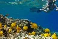 Kailua-Kona Private Marine Charter thumbnail 5