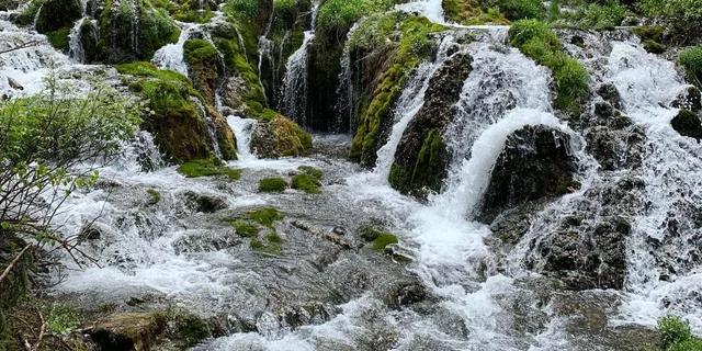 Rapid City Spearfish Canyon Private Tour 7.5 hr - Image 3