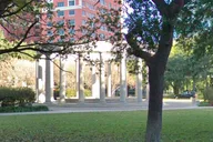 Houston Museum District Scavenger Hunt thumbnail 4