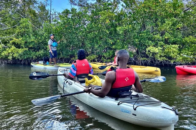 Fort Lauderdale Mangrove Kayak Eco Tour - Image 2