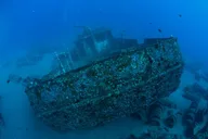 Maui 3-Tank Dive at Molokini Crater thumbnail 6