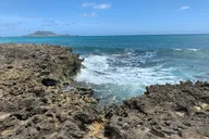 Kailua Guided Kayaking Excursion Oahu 2 hr thumbnail 5