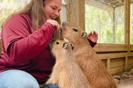 Orlando Wildlife Park and Gator Show thumbnail 3