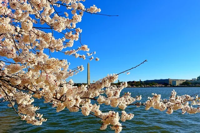 New York to Washington D.C. Day Trip - Image 3