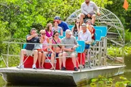 Miami Everglades Airboat Tour with Wildlife Show thumbnail 1