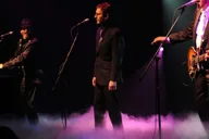 Las Vegas Australian Bee Gees Show at Excalibur Hotel 1.5 hr thumbnail 2