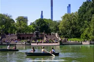 New York City Central Park Pedicab Tour thumbnail 5