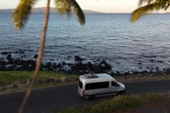 Maui Sea Turtle and Waterfalls Tour thumbnail 6