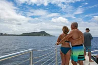 Waikiki Turtle Snorkel with Optional Lunch 2.5 hr thumbnail 2