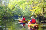 Amelia Island Kayak Rental Experience thumbnail 6