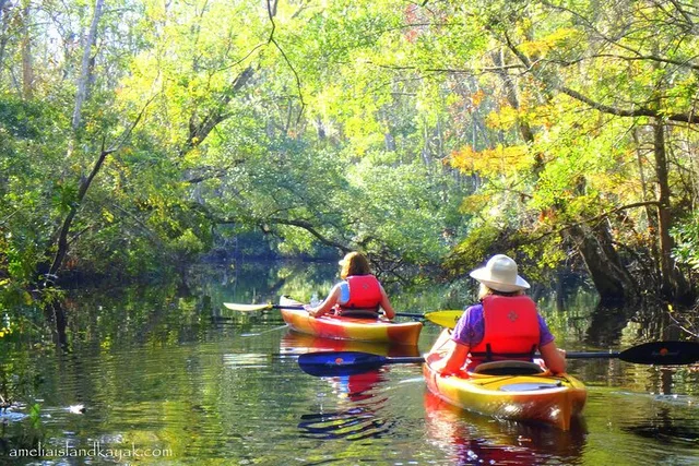 Amelia Island Kayak Rental Experience - Image 6
