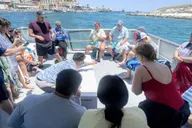 Panama City Beach Snorkeling and Dolphin Watching Tour thumbnail 5
