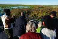 Orlando Airboat Ride 30 Min thumbnail 3