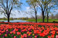 Chicago Suburbs Hidden Gems Tour thumbnail 1