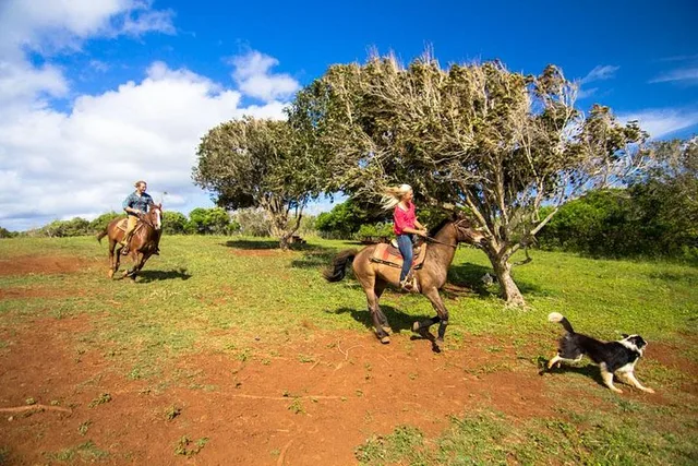 Oahu Advanced Trail Ride - Image 4