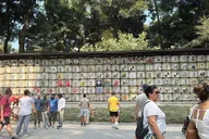 Tokyo Day Tour Shibuya, Asakusa, Meiji Shrine thumbnail 6