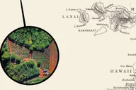 Oahu Chocolate Farm Tour with Tasting thumbnail 4