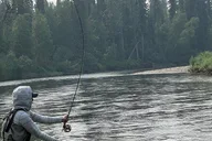 Fairbanks Fishing Trip with Transportation 4 hr thumbnail 6