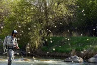 Heber Valley Fly Fishing Experience thumbnail 1