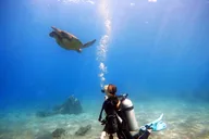 Maui Scuba Diving Experience thumbnail 3
