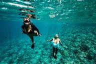 Maui Coral Gardens Snorkel & Waterslide Adventure thumbnail 5