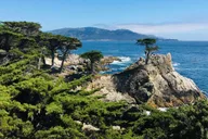San Francisco & Yosemite 3-Day Tour from Los Angeles thumbnail 5