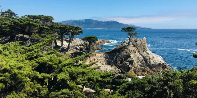 San Francisco & Yosemite 3-Day Tour from Los Angeles - Image 5