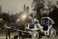 New York City Central Park Horse Carriage Tour thumbnail 5