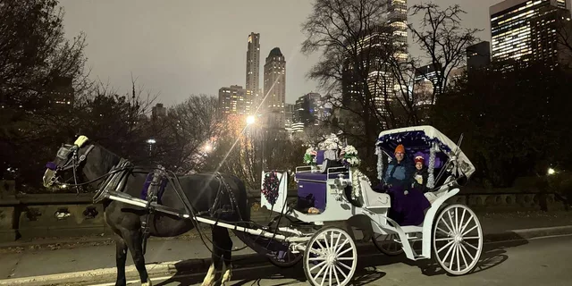 New York City Central Park Horse Carriage Tour - Image 5