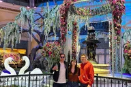 Las Vegas Strip Walking Tour with Free Drink thumbnail 2