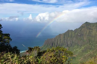 Kauai Private Tour of South & West Shores